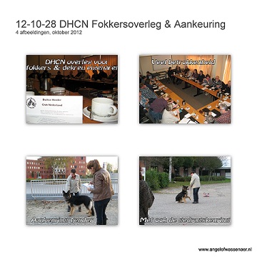 DHCN Fokkers overleg in Tiel met ook nog een aankeuring